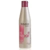 Salerm Cosmetics Hi Repair Champú Reparador 250ml.
